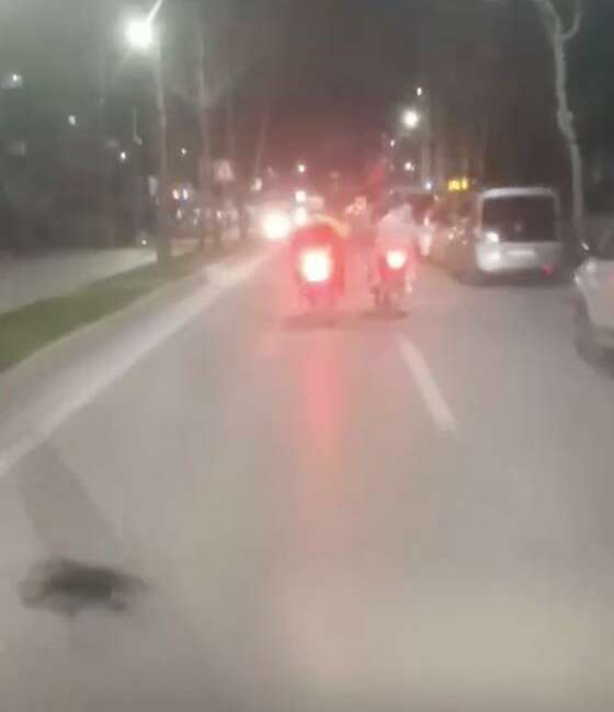 Bursa'nın Yıldırım ilçesi Erikli