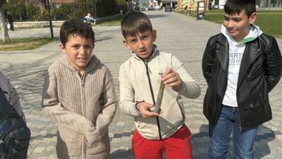  Bursa'daki İznik Gölü kıyısında