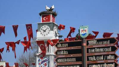 Geçtiğimiz yıl İznik’e yuva yapmak