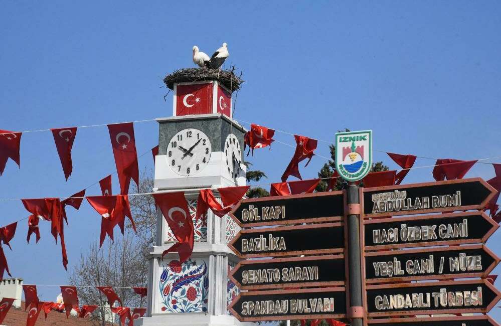 Geçtiğimiz yıl İznik’e yuva