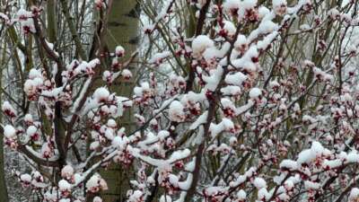 Afyonkarahisar ve Kütahya'da ısınan havayla