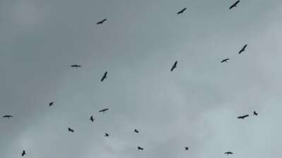 Bursa'ya Kestel ilçesi tarafından Gölbaşı