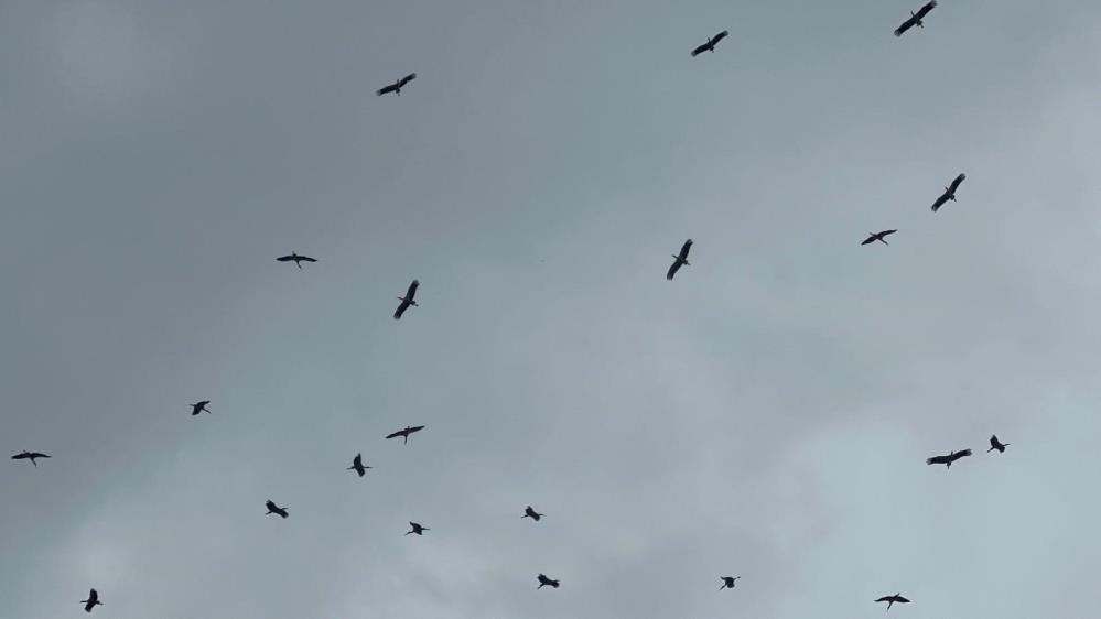 Bursa semalarında dikkat çeken olay; “Hacı” olarak biliniyorlar Bursa'ya Kestel ilçesi tarafından