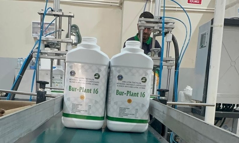 Bursa Büyükşehir çiftçinin yüzünü güldürmeye devam ediyor! Bursa Büyükşehir Belediyesinin