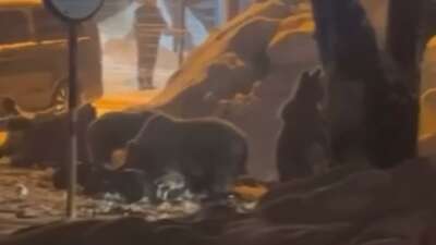 Türkiye’nin önemli kış turizm merkezlerinden