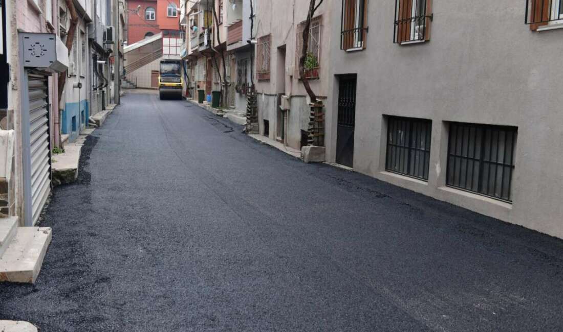 Osmangazi Belediyesi, şehir genelinde