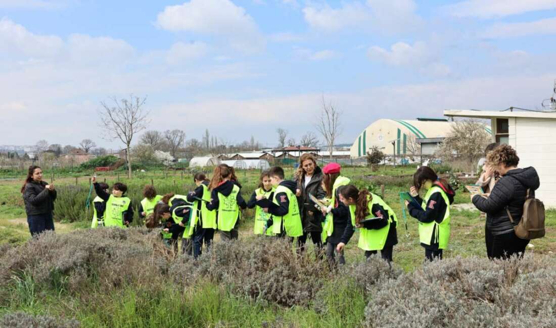 Nilüfer Belediyesi’nin düzenlediği “Bostan