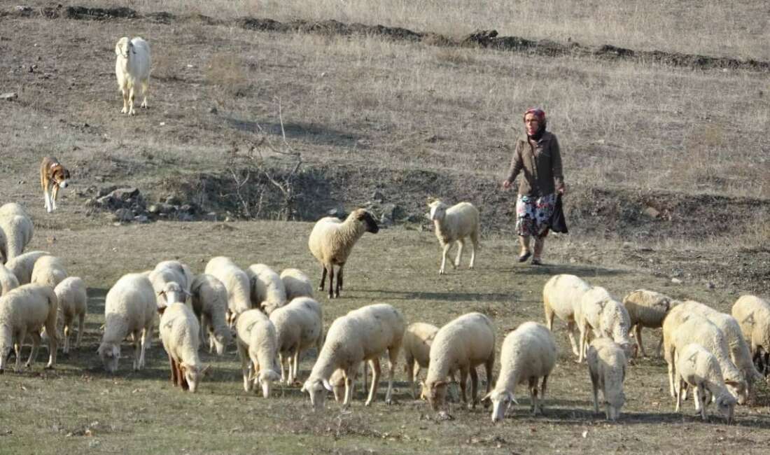 Bursa’da cinayete kurban giden kadının eski görüntüleri ortaya çıktı Bursa'nın Harmancık ilçesinde Ayşe Eken,