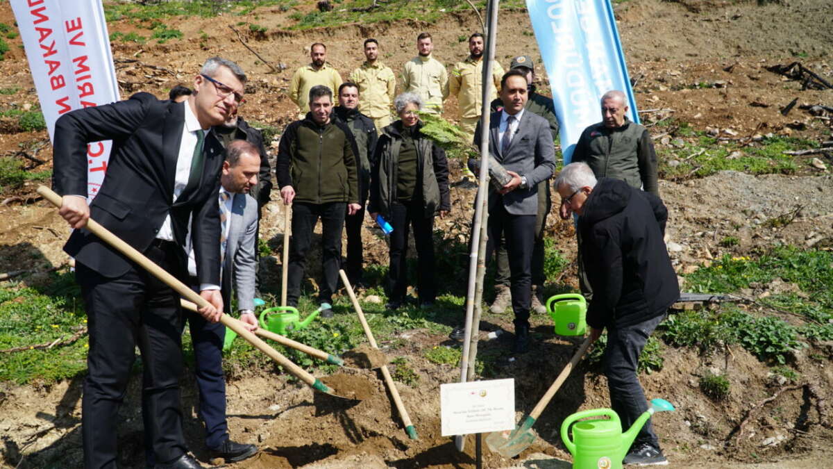 Bursa’da yanan yerler yeniden yemyeşil olacak!
