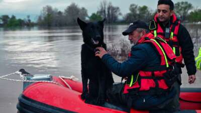 Bursa’nın Karacabey ilçesinde meydana gelen