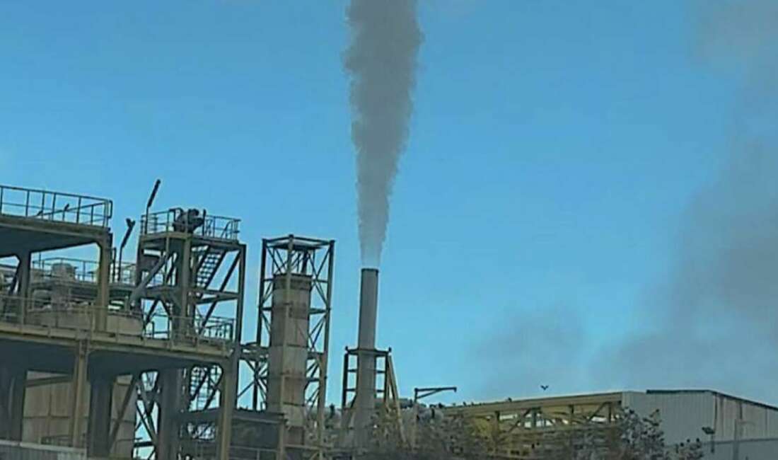 Bursa’da faaliyet gösteren Cargill’in,