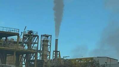 Bursa’da faaliyet gösteren Cargill’in, İznik