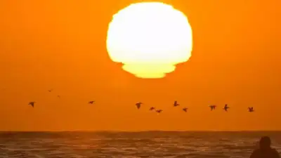 Pasifik Okyanusu’nda ortaya çıkan ve