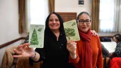 Osmangazi Belediyesi’nin, kadınların toplumsal hayatta