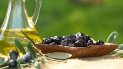 Marmara Zeytin Tarım Satış Kooperatifleri