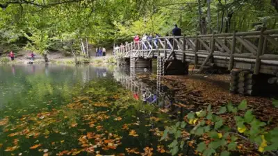 Milli parklara ilişkin düzenlemeleri içeren