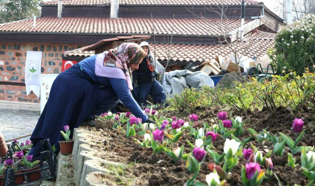 Bursa Osmangazi’yi çiçek açtı! Osmangazi Belediyesi, kentin dört mevsim