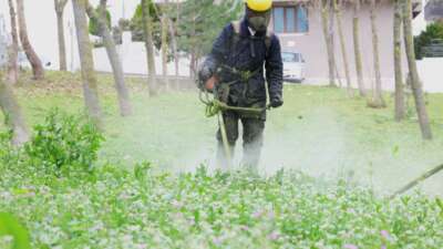 Osmangazi Belediyesi vatandaşların park, bahçe