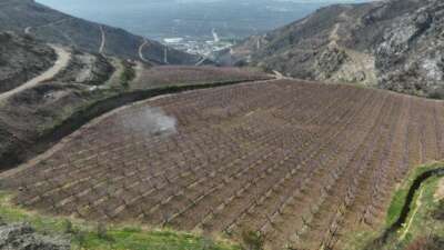 Bursa'nın Gürsü ilçesinde geçen yıl