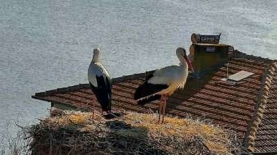 Bursa’nın Karacabey ilçesi Eskikaraağaç Mahallesi’nde