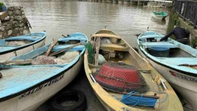 Bursa’da balıkseverleri güzel bir dönem bekliyor! Bursa’da balıkseverleri güzel bir dönem bekliyor!