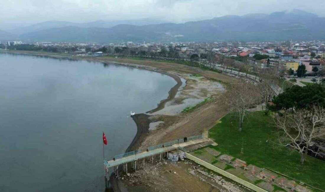 Cargill Gıda Orta Doğu,