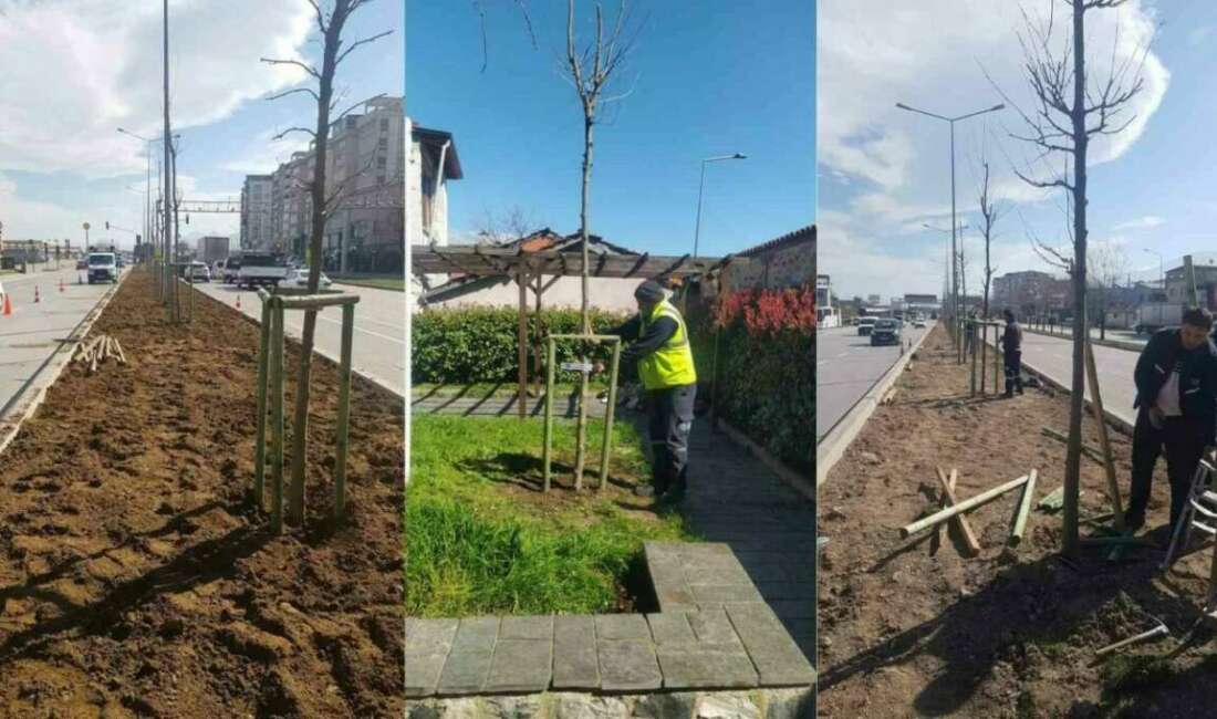 Bursa Büyükşehir Belediyesi tarafından
