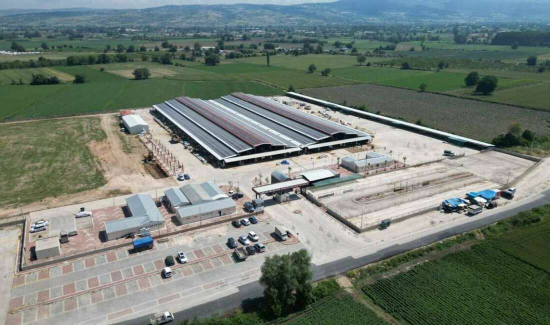 İnegöl Belediyesi Hayvan Pazarının