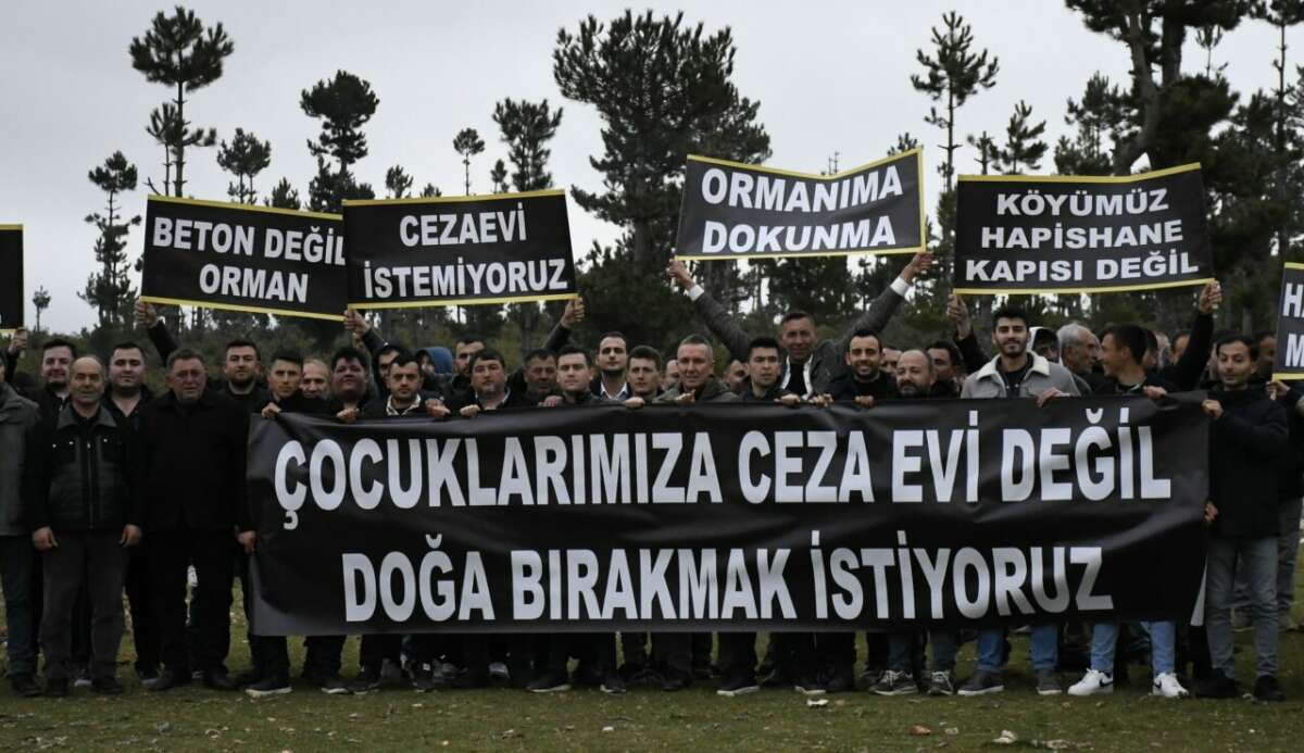 Bursa’nın Keles ilçesinde köy merasına