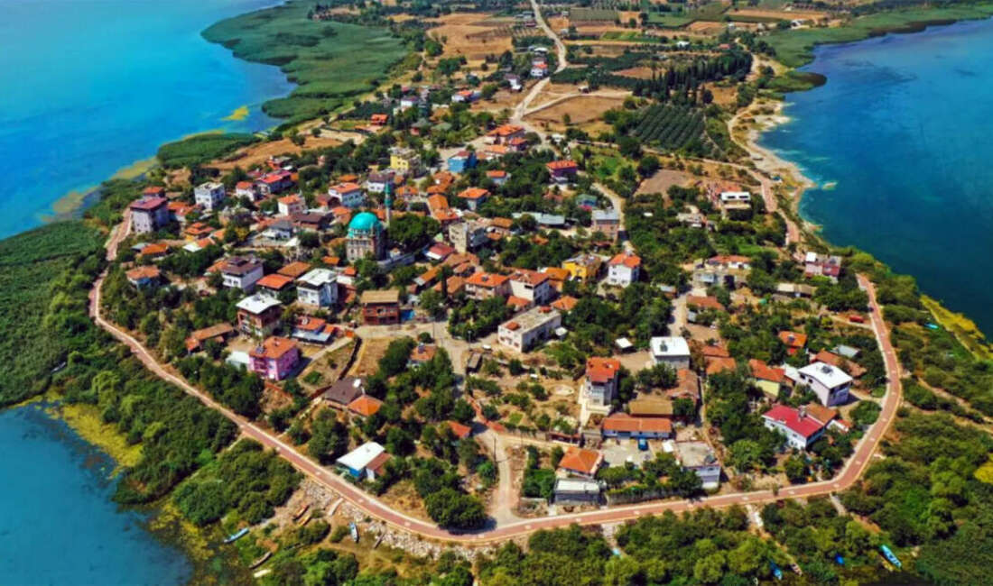 Bursa’nın meşhur leylek köyü Eskikaraağaç’ta dikkat çeken detay! Baharın müjdecisi leylekler, Bursa’nın