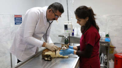 Bursa’da araç çarpması sonucu arka