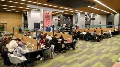 Spordan sanata, eğitimden istihdama kadar