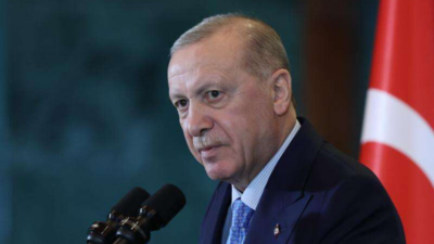 Cumhurbaşkanı Recep Tayyip Erdoğan, İçişleri