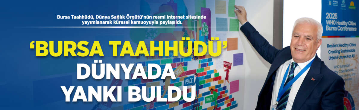 Bursa Taahhüdü, Dünya Sağlık Örgütü’nün