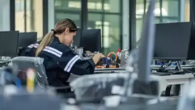 Elektrik ve elektronik sektörü, enerji