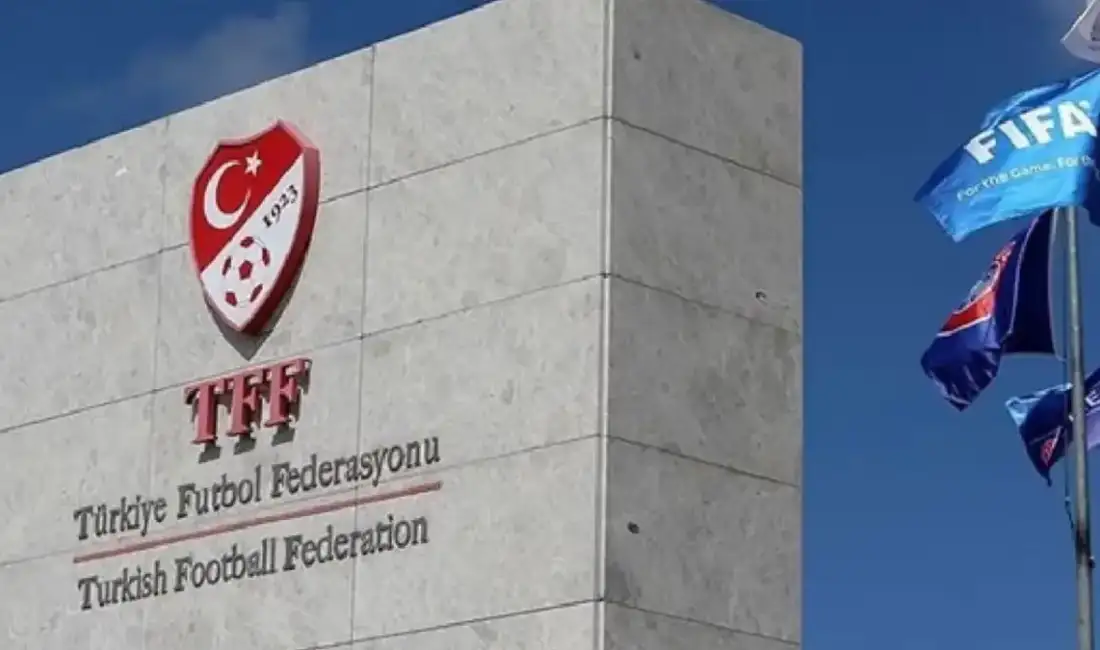 Profesyonel liglerde küme düşen