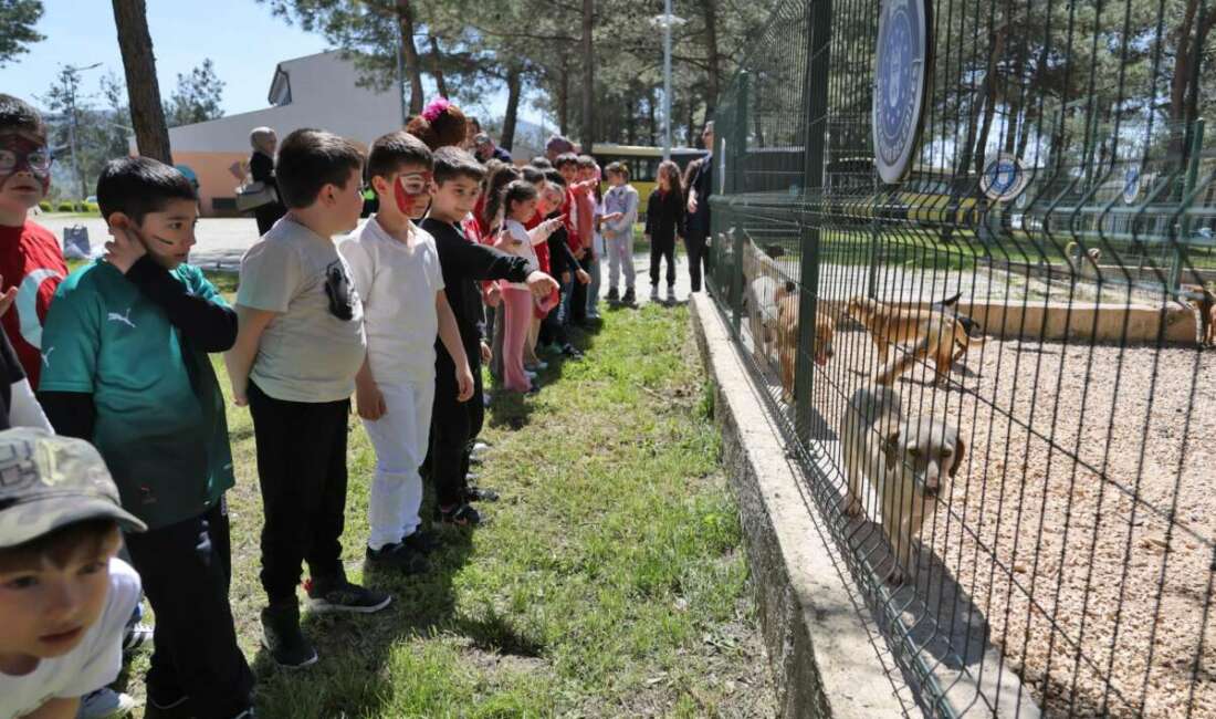 Bursa Büyükşehir Belediyesi,