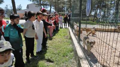  Bursa Büyükşehir Belediyesi, 23
