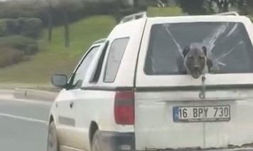 Bursa’nın İnegöl ilçesinde seyir halinde