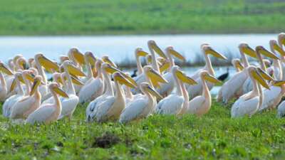 Bursa'nın İnegöl ilçesindeki Boğazköy Barajı,