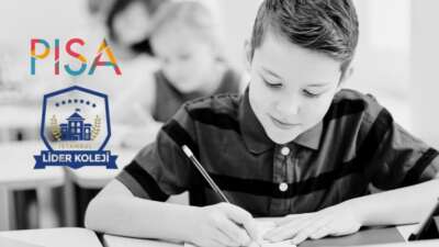  Uluslararası öğrenci değerlendirme programı