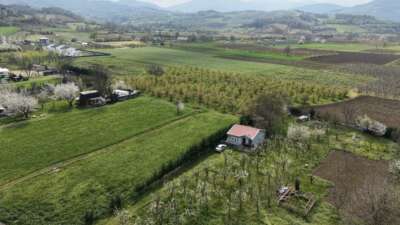 Bursa’nın İnegöl ilçesinde baharın gelişiyle