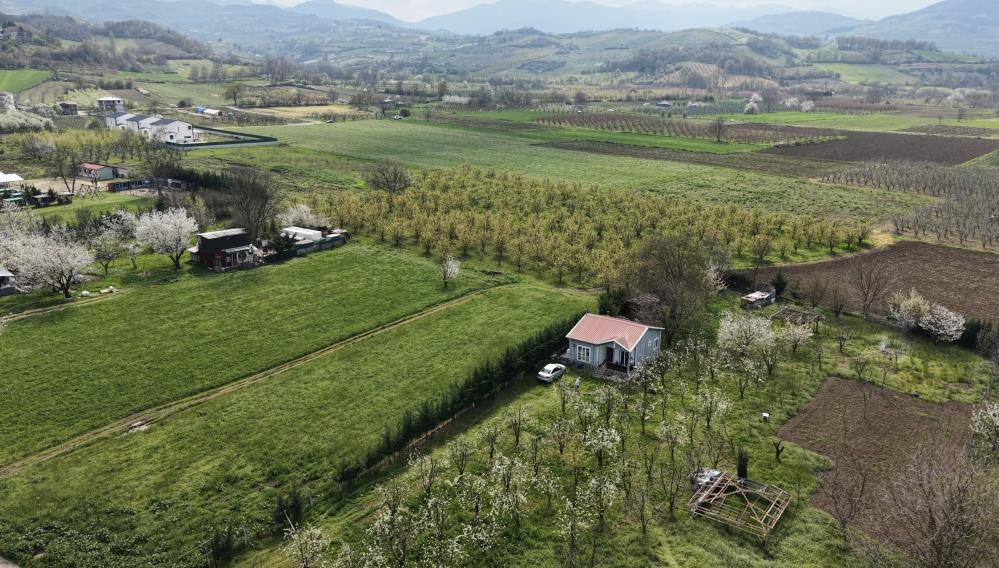 Bursa’da görsel şölen! Bursa’nın İnegöl ilçesinde baharın