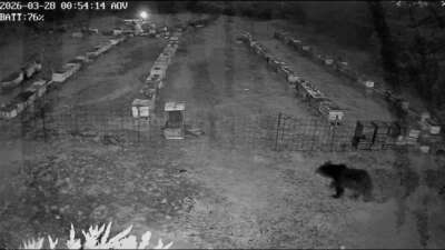 Uludağ eteklerindeki bir köye yakın