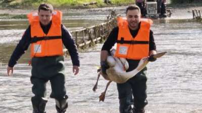  Bursa'nın İnegöl ilçesinde barajdaki