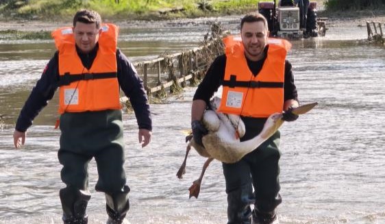 Bursa'nın İnegöl ilçesinde
