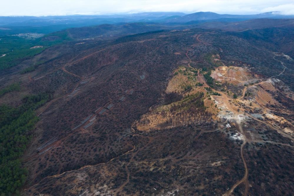 Bursa’da yanan binlerce hektar alan ne durumda?
