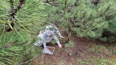 Bursa Orman Bölge Müdürlüğü, doğayla