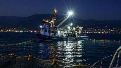 Gemlik Körfezi içerisinde ve özellikle