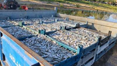 Türkiye'nin en büyük 5.gölü olan